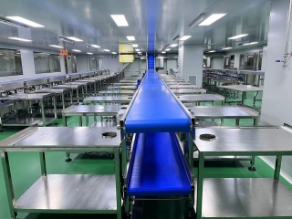 Băng tải chế biến