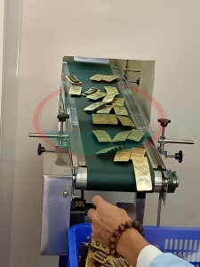 Băng tải vỉ thuốc