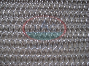 Băng tải lưới inox 03
