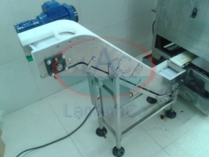 Băng tải lên nghiêng